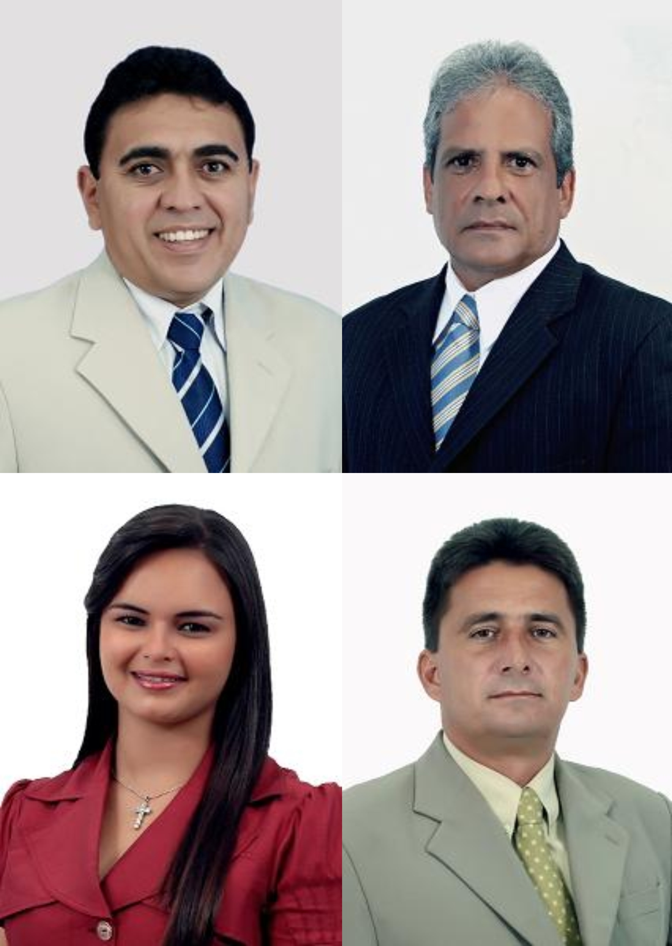 15ª Reunião do I Período Legislativo de 2009