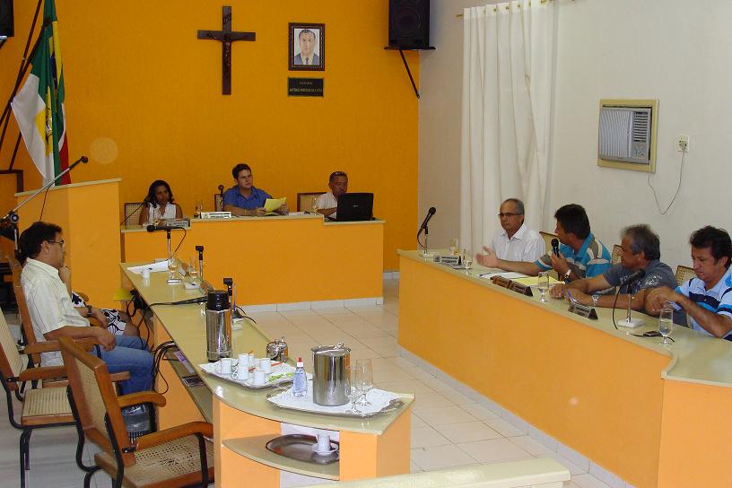 2ª Sessão Ordinária do I Período Legislativo de 2010