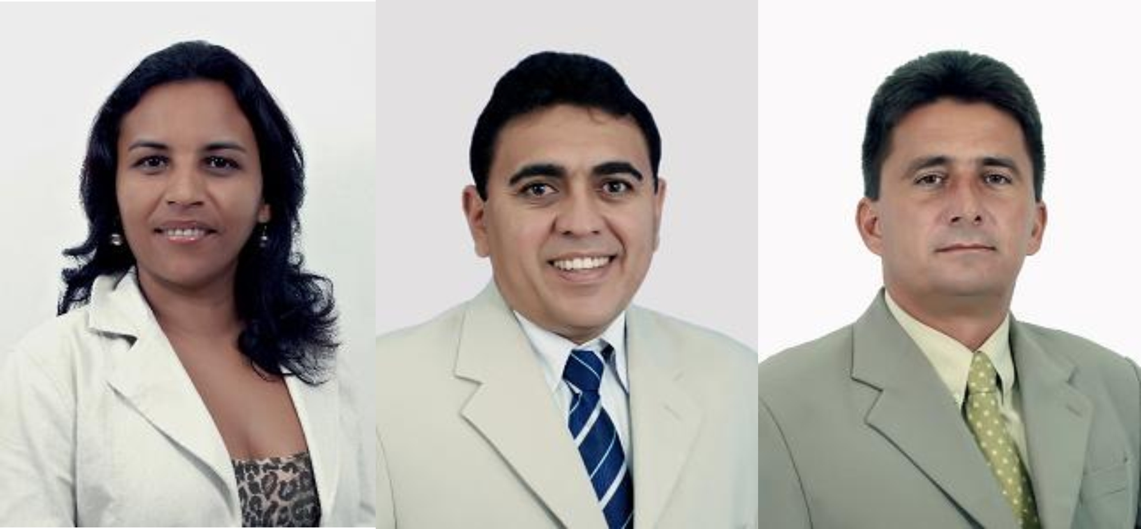 4ª Sessão Ordinária do II Período Legislativo de 2009.