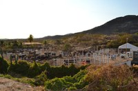 Vereador solicita arborização do patio onde é realizado Torneio Leiteiro