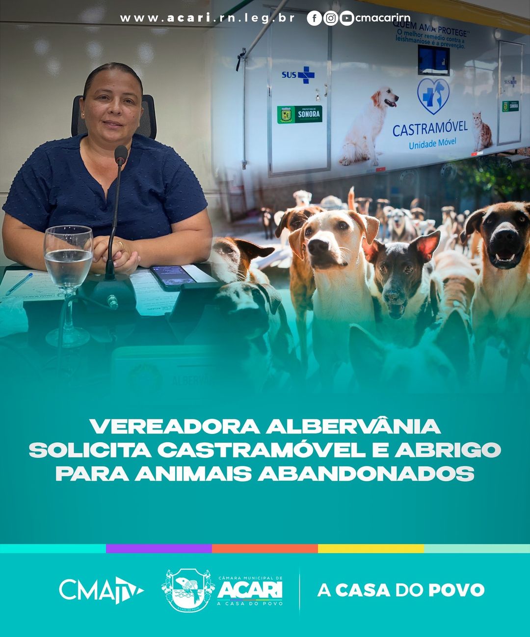 VEREADORA ALBERVÂNIA SOLICITA CASTRAMÓVEL E ABRIGO PARA ANIMAIS ABANDONADOS